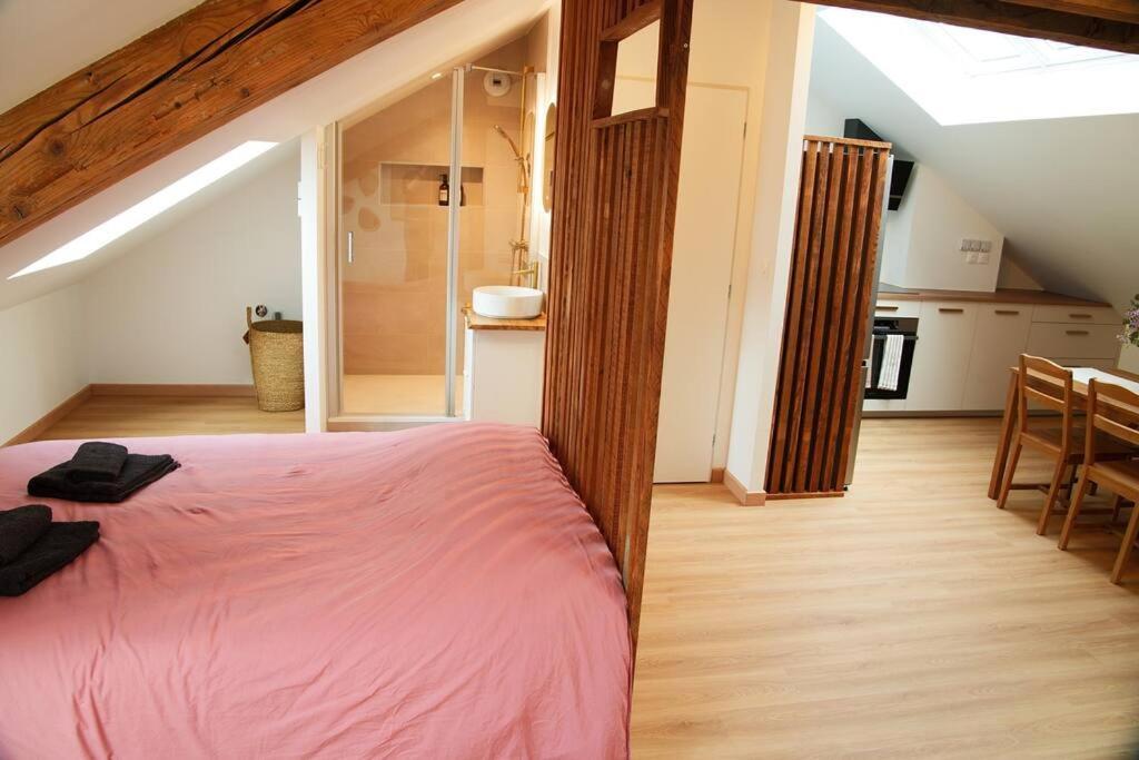 Appartement De Charme A Nancy Zewnętrze zdjęcie