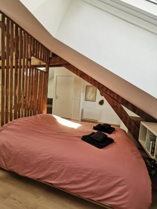 Appartement De Charme A Nancy Zewnętrze zdjęcie